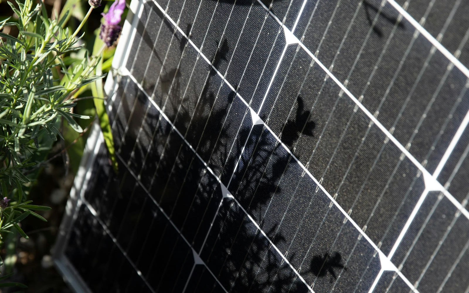 Détail d'un module solaire installé près d'un jardin