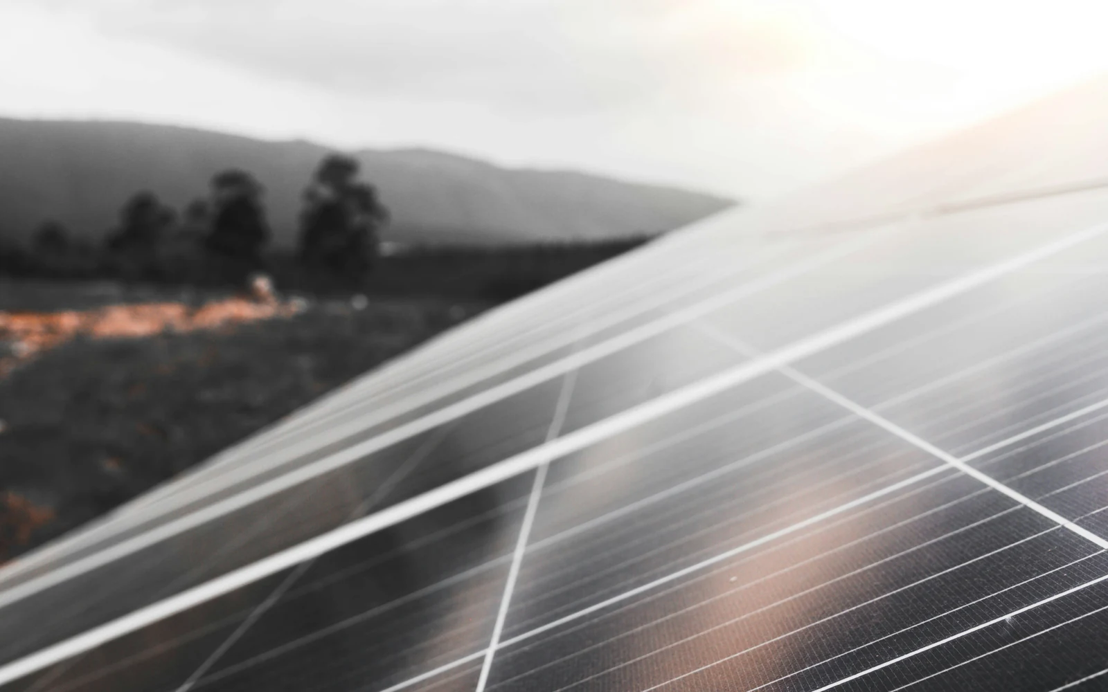Gros plan lumineux sur la surface d'un panneau photovoltaïque