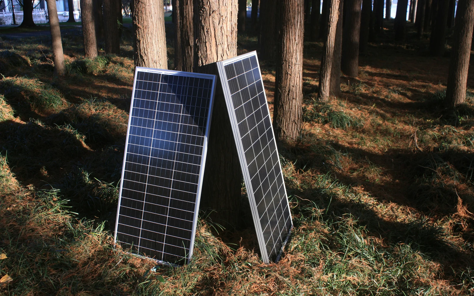 Deux modules photovoltaïques mobiles installés dans un environnement boisé